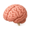 3D Wally AI brain